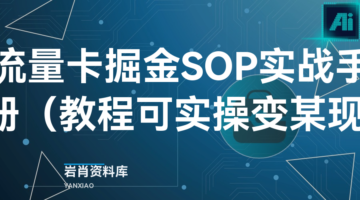 流量卡掘金SOP实战手册 （教程可实操变某现）-岩肖