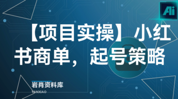 【项目实操】小红书商单，起号策略-岩肖