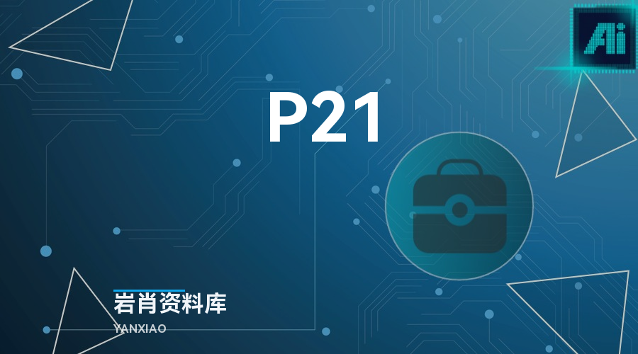 P21-岩肖